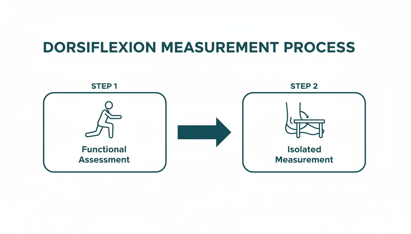 Diagram showing dorsiflexion measurement steps: functional assessment (person squatting) and isolated measurement (foot on table).