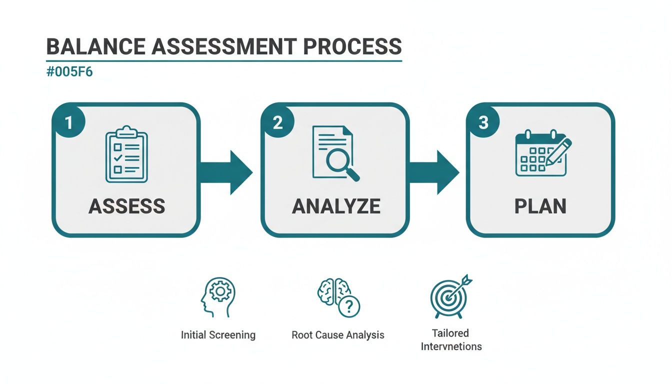 Infographic illustrating a three-step balance assessment process: Assess, Analyze, and Plan, with key concepts.