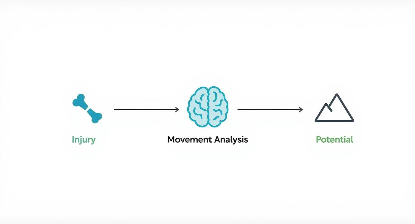 Infographic about analysis of movement