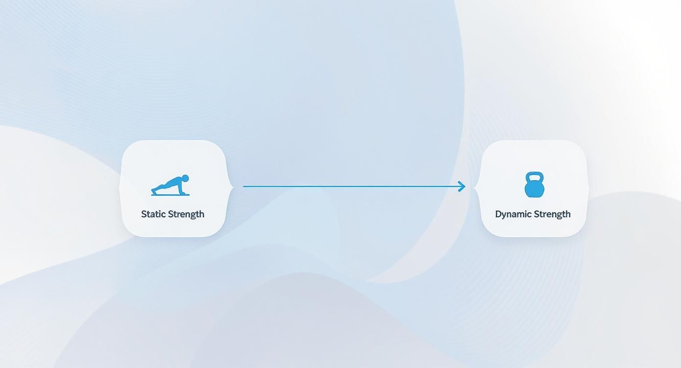 Infographic about dynamic strength exercises