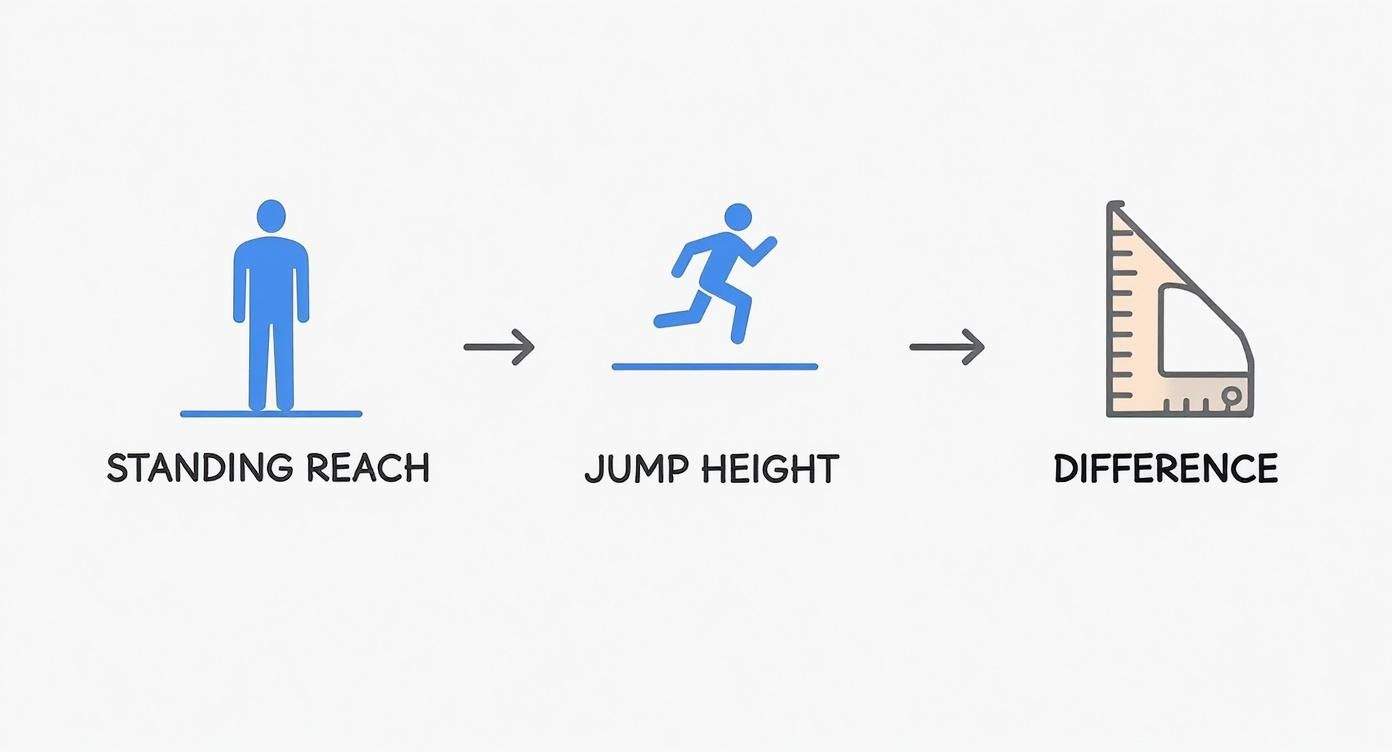 Infographic about how to calculate vertical jump