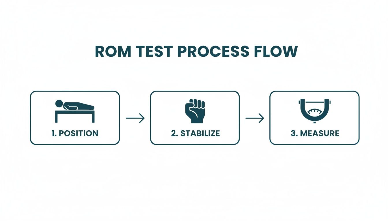 Flowchart detailing the three-step Range of Motion (ROM) test process: position, stabilize, and measure.