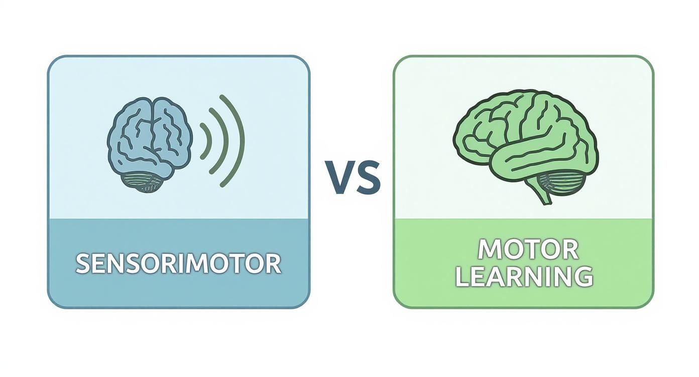 Infographic comparing the Sensorimotor frame of reference, which focuses on brain signals, with the Motor Learning frame of reference, which emphasizes repetition.