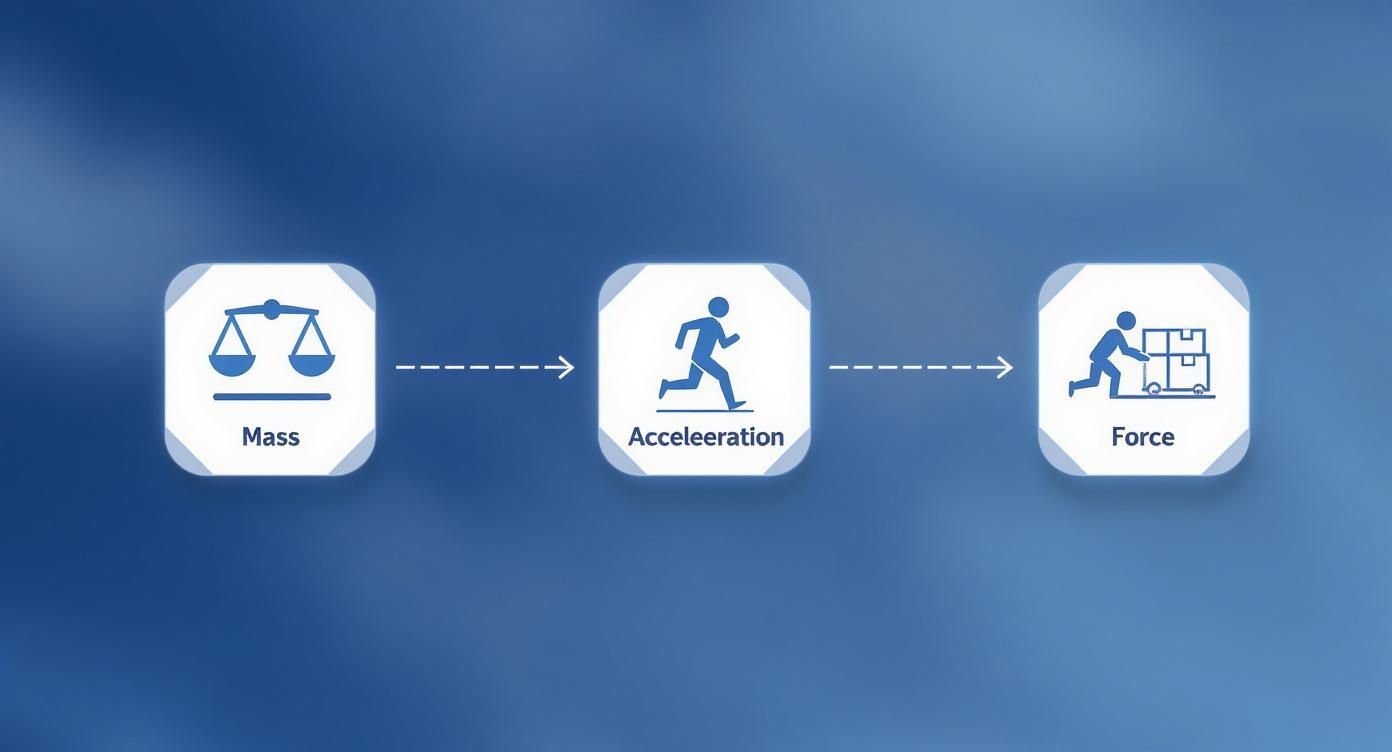 Infographic about force calculations formula