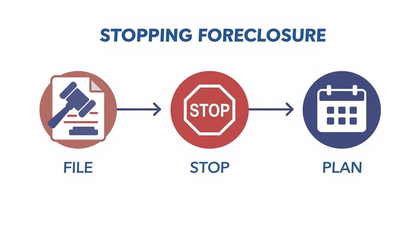 Infographic about will chapter 13 stop foreclosure with steps like filing and creating a plan