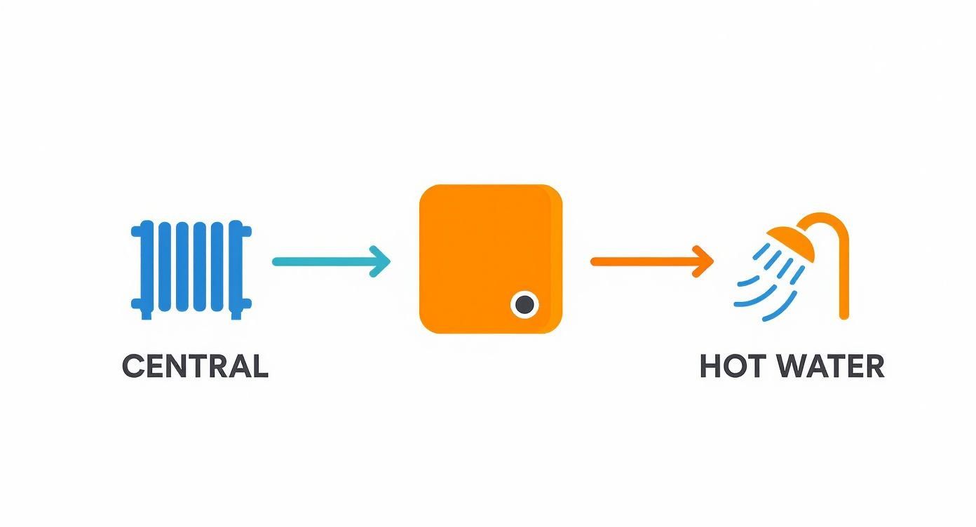 Een diagram dat de stroom van centrale verwarming naar een boiler en vervolgens naar warm water in de douche weergeeft.