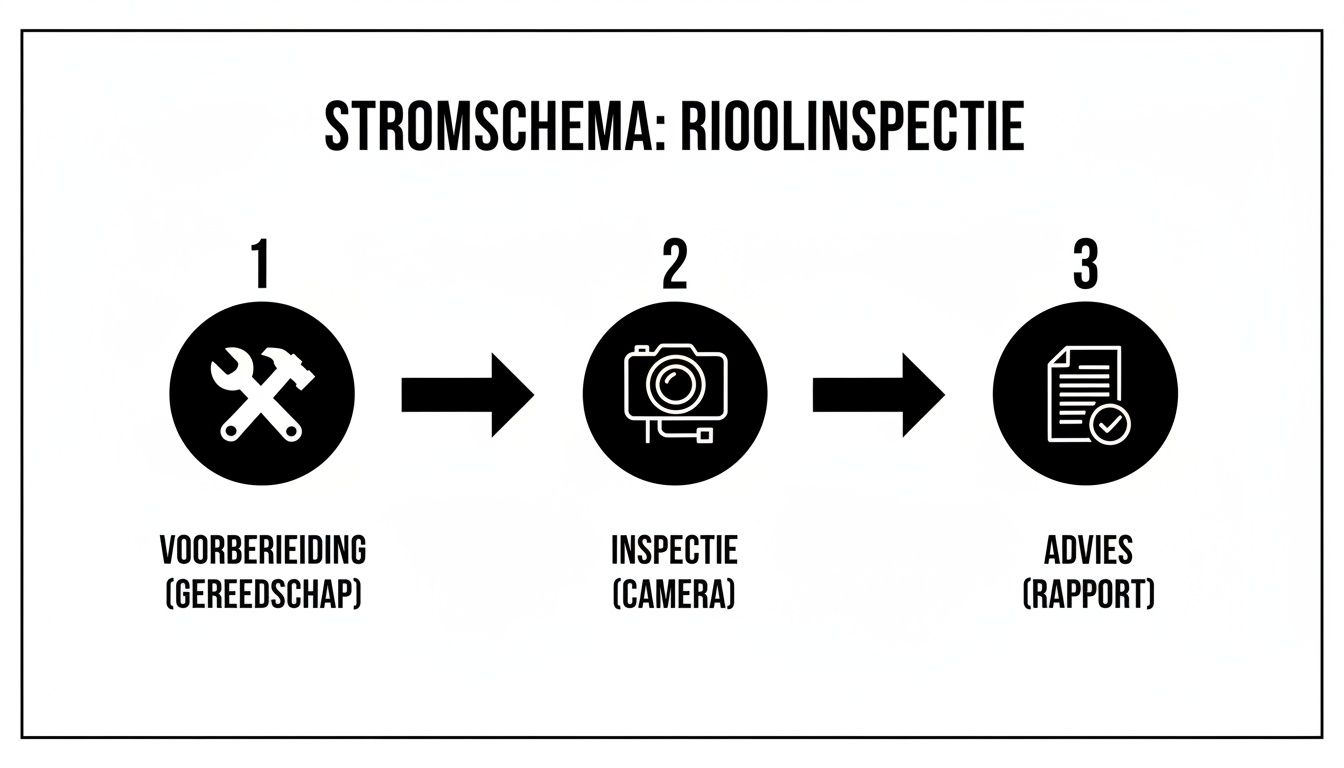 Stroomschema rioolinspectie met drie stappen: voorbereiding, camera-inspectie en adviesrapportage.