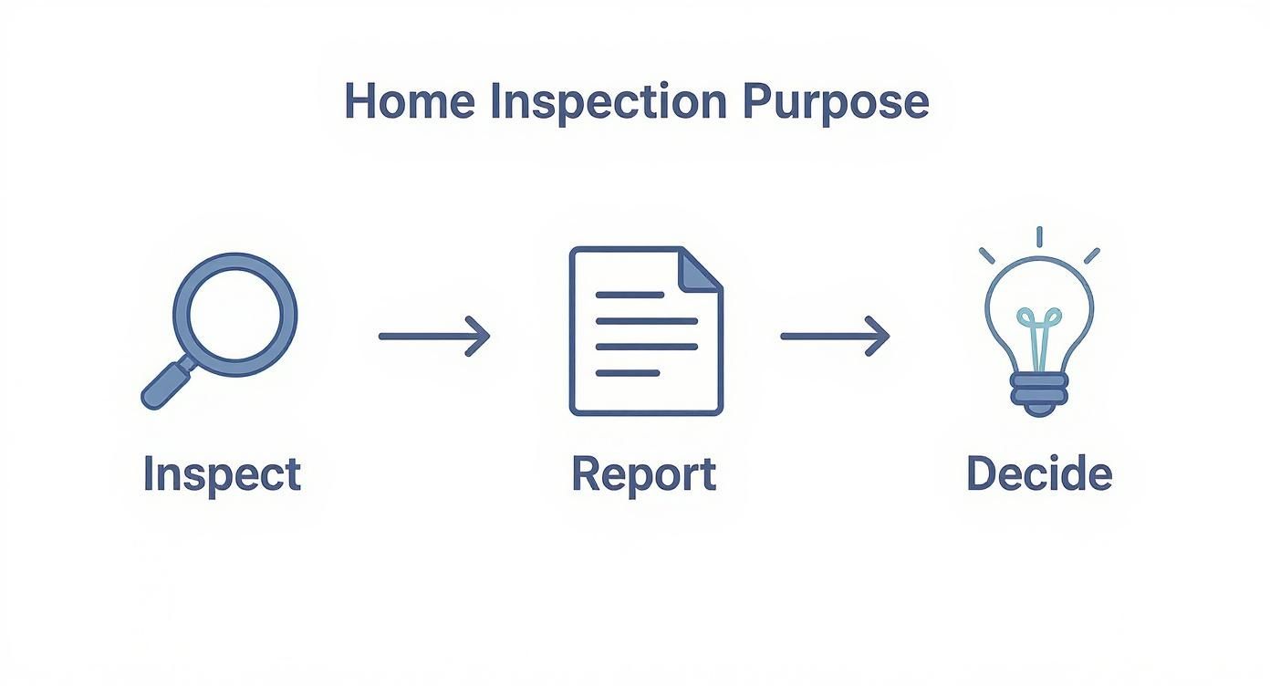 Infographic about what is a home inspection