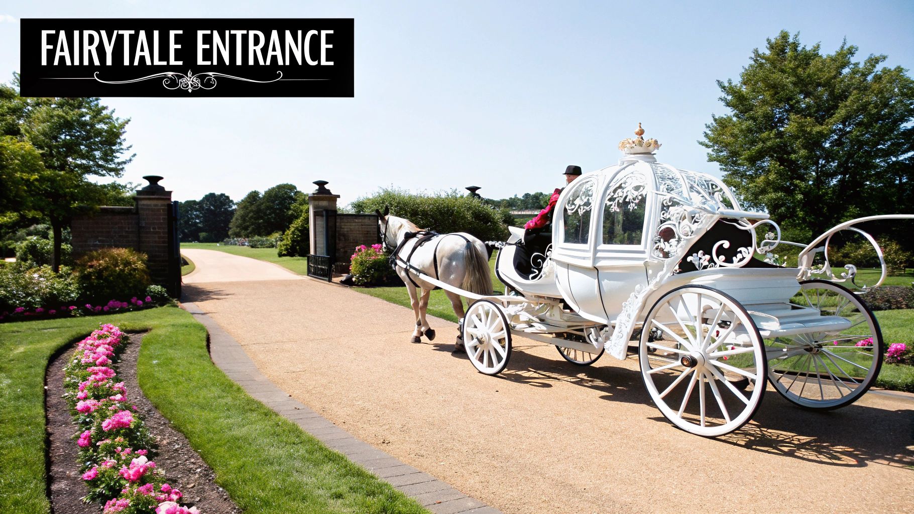 Horse-Drawn Carriages