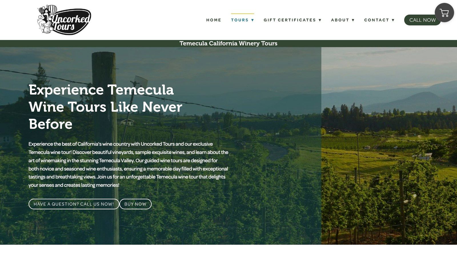 Uncorked Tours (Temecula)
