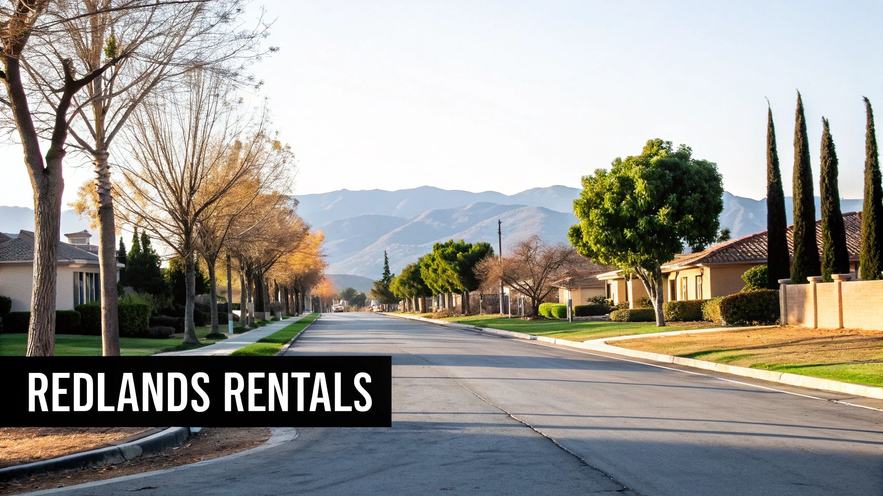 Suburban residential street in Redlands with mountains, trees, and single-family homes for property rentals