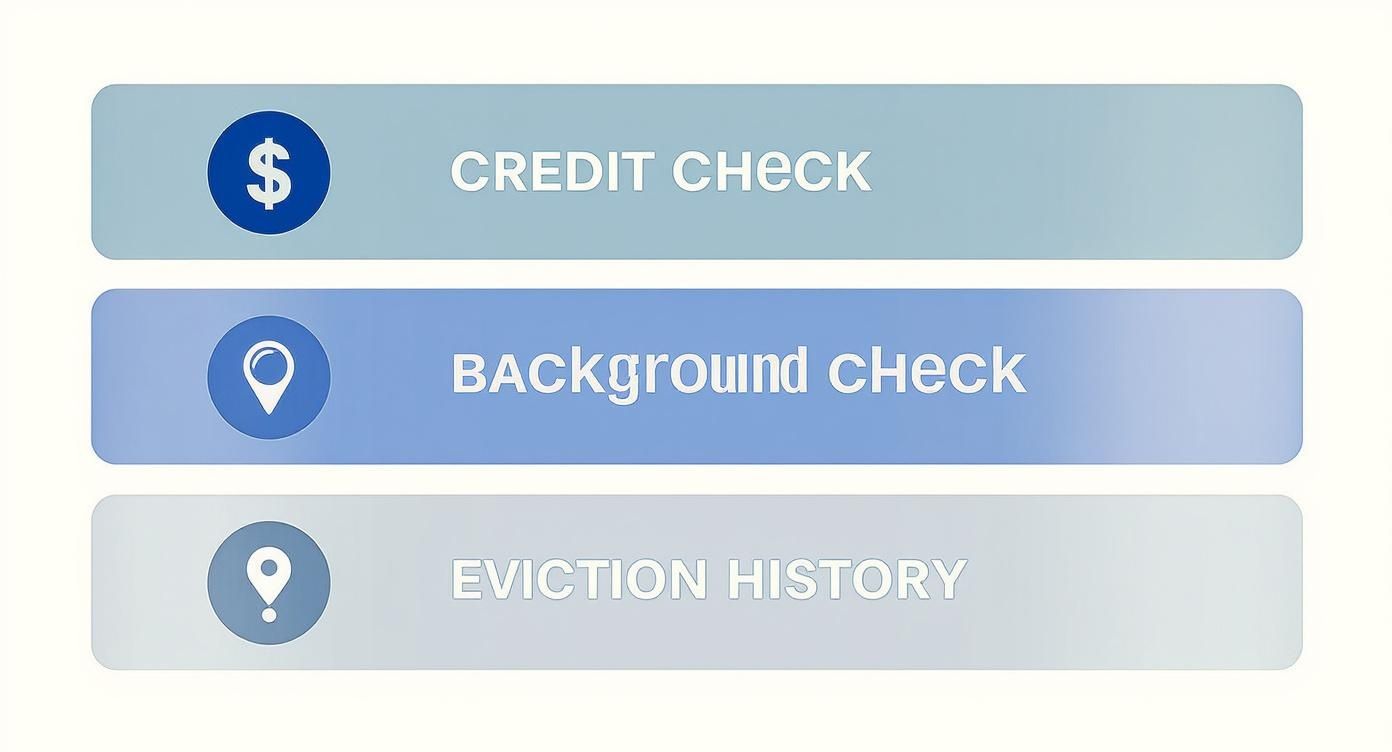Infographic about tenant screening including credit, background, and eviction history checks.