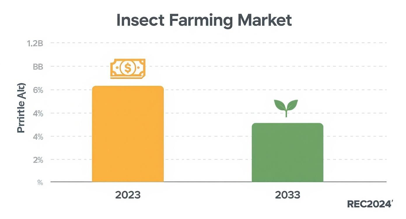 Infographic about grub worms for chickens