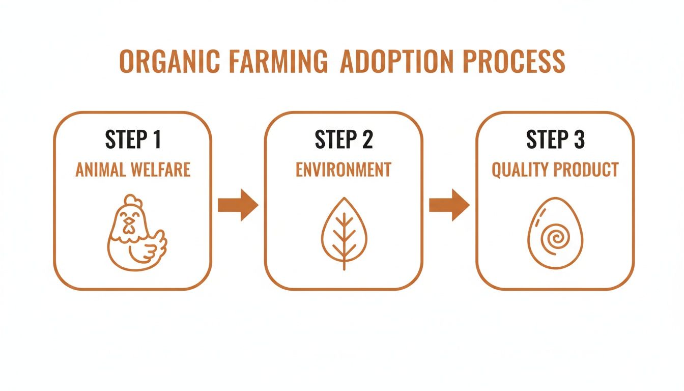 A diagram illustrating the organic farming adoption process with three steps: animal welfare, environment, and quality product.