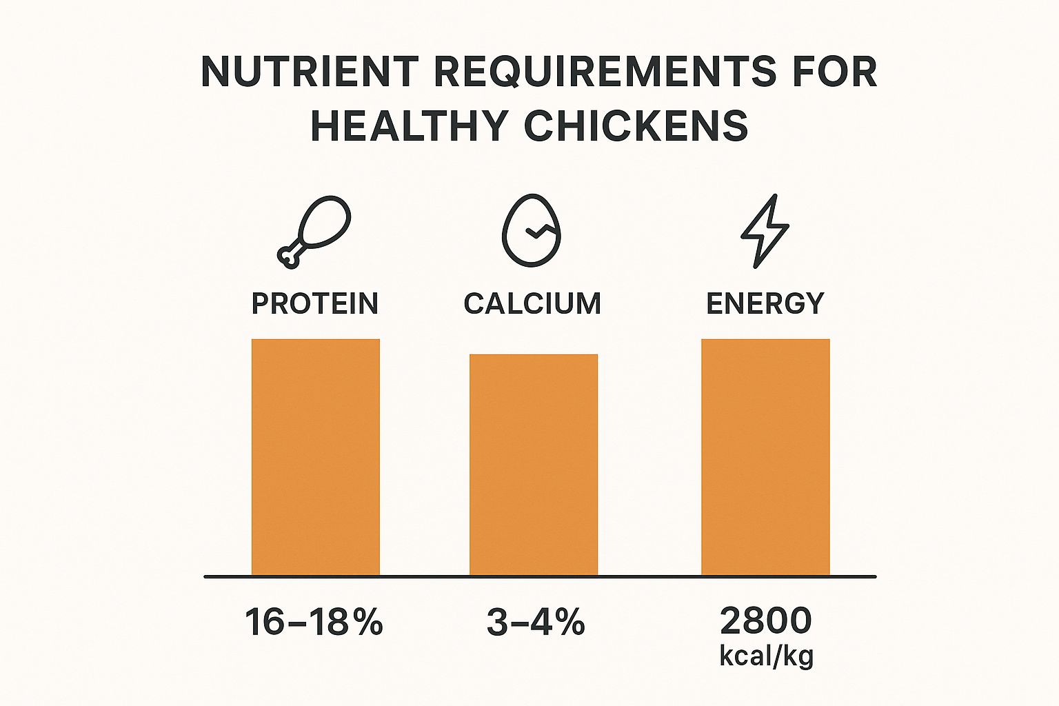 Infographic about what is the best food for chickens