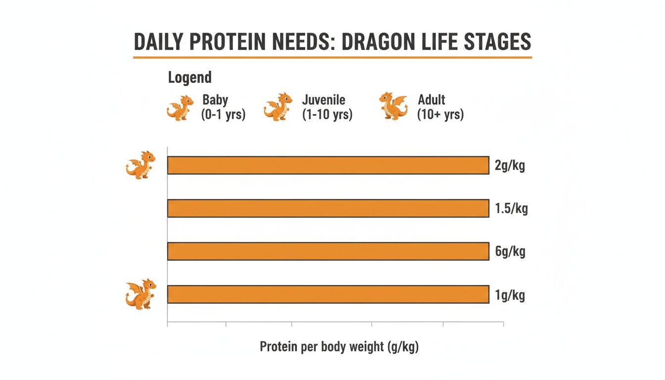 Bar chart showing daily protein needs for dragons across baby, juvenile, and adult life stages.