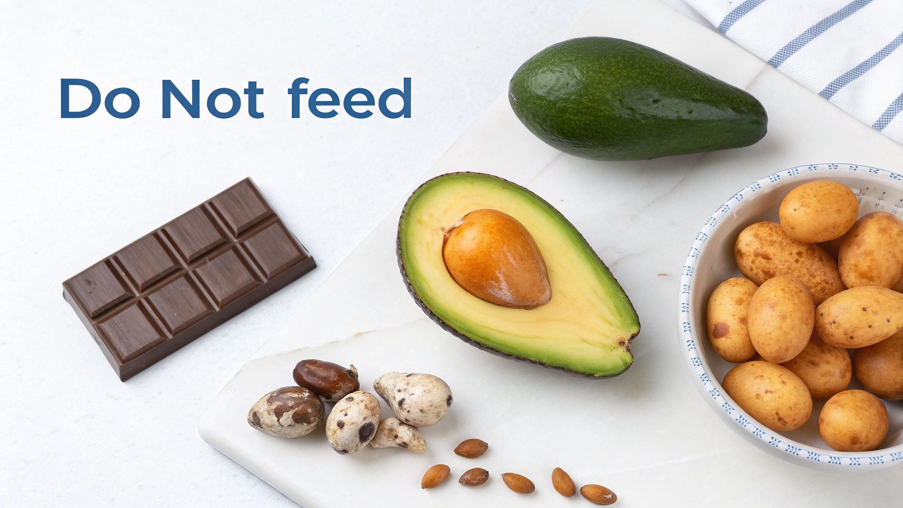A flat lay shows a chocolate bar, avocados, potatoes, and nuts with 'Do Not feed' text.