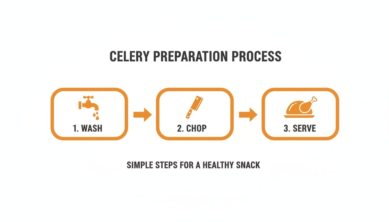 Infographic displaying a three-step celery preparation process: wash, chop, and serve, with corresponding icons.