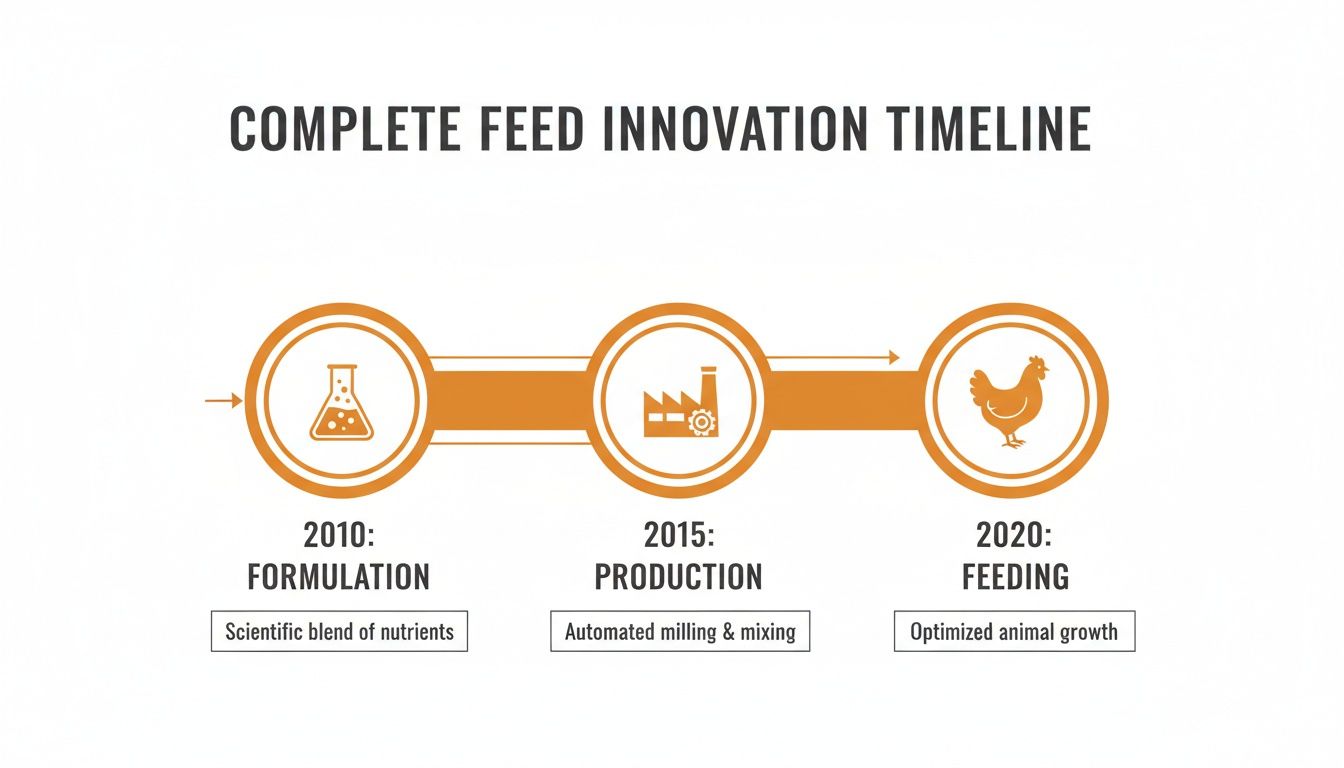 A complete feed innovation timeline showing stages: formulation in 2010, production in 2015, and feeding for optimized animal growth in 2020.