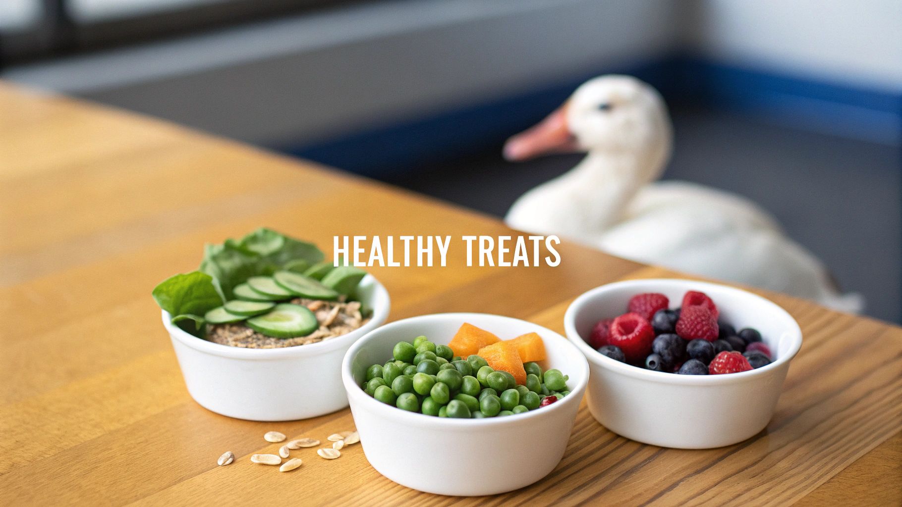 Three white bowls filled with healthy treats like vegetables, peas, carrots, and berries for ducks.