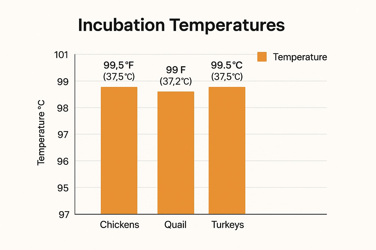 Infographic about incubator temperature for hatching eggs