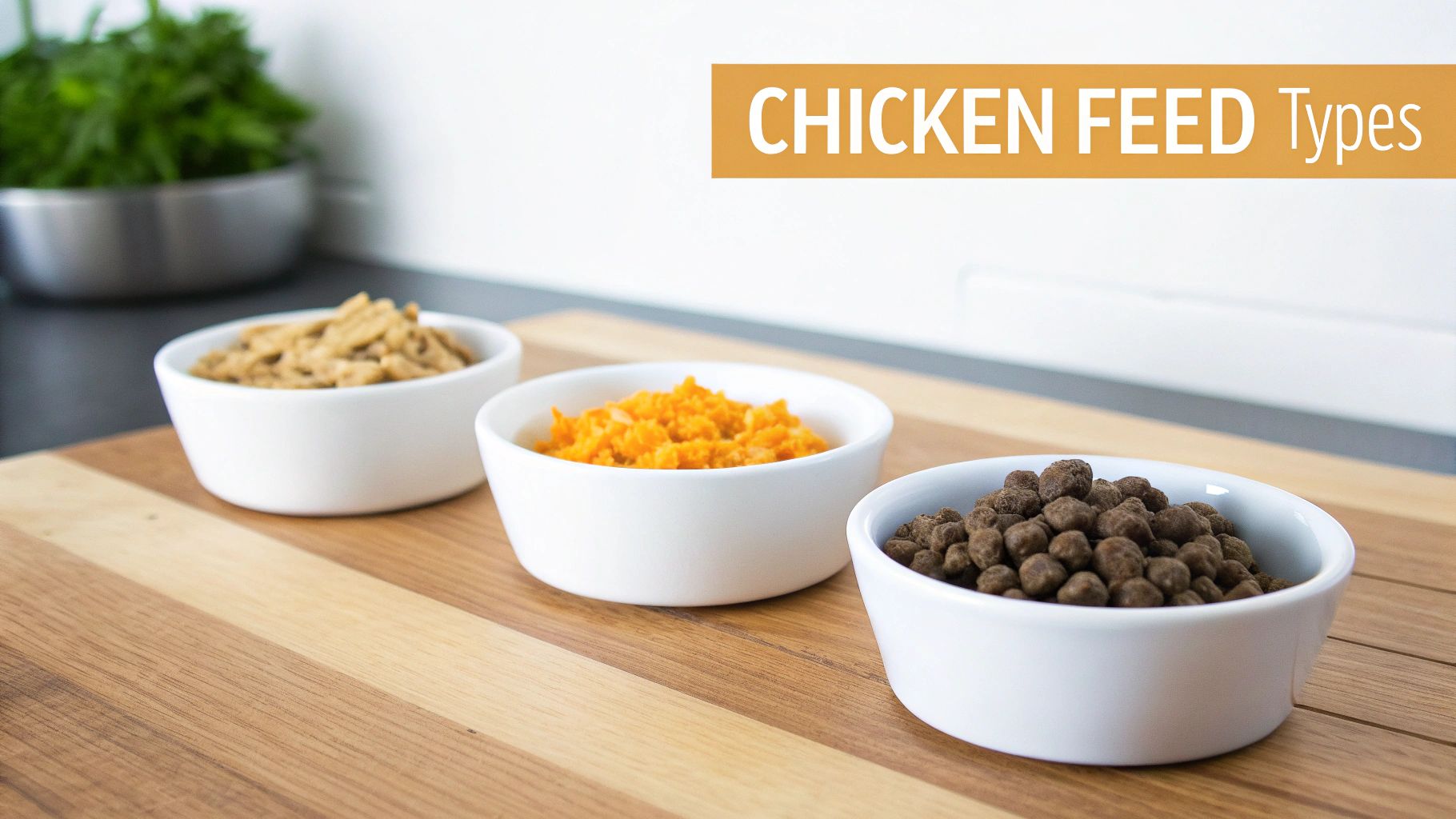 A close-up of different types of chicken feed pellets and crumbles in a farm setting.
