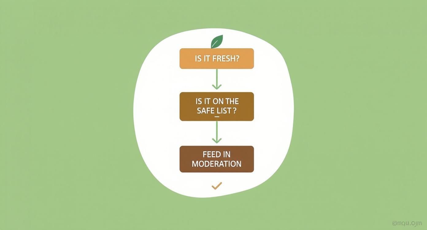 Flowchart guiding food decisions: Is it fresh, on the safe list, then feed in moderation.