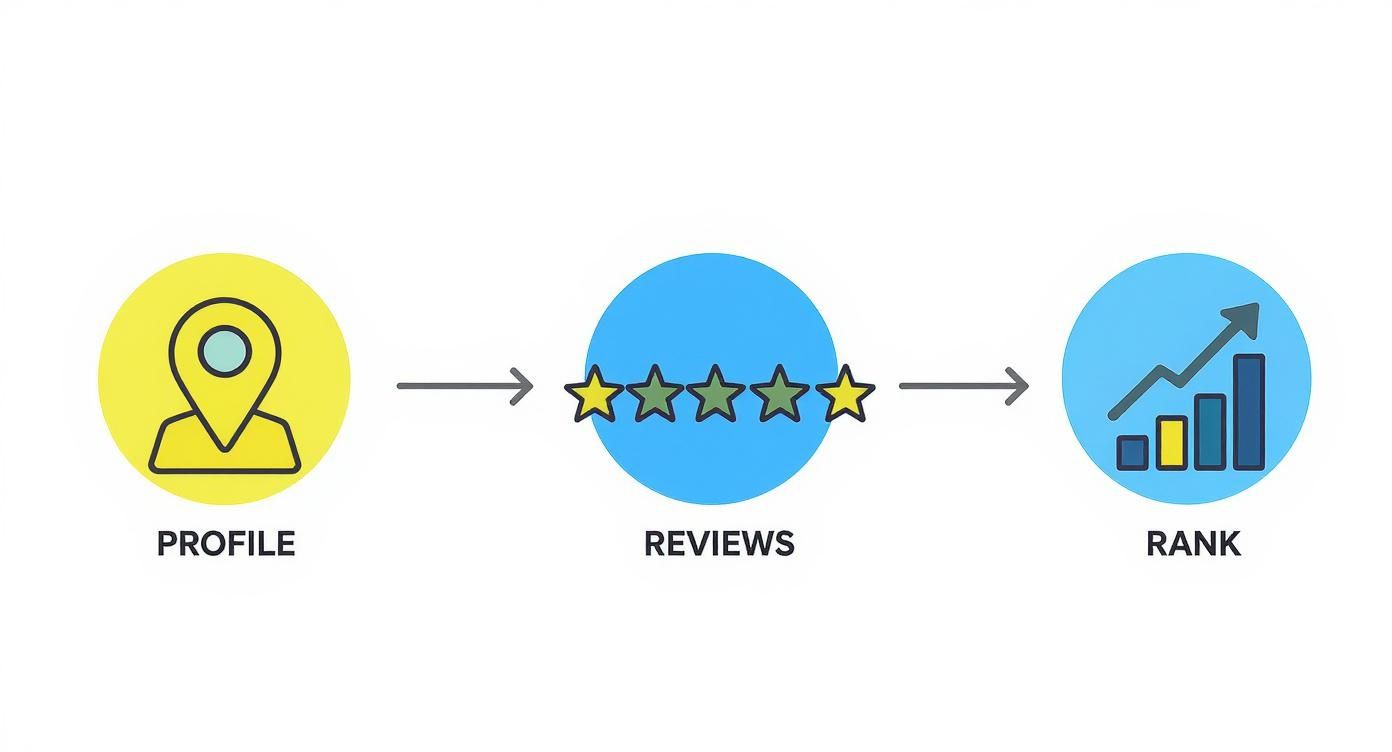 A flowchart showing how a profile leads to reviews, which then impacts online ranking positively.
