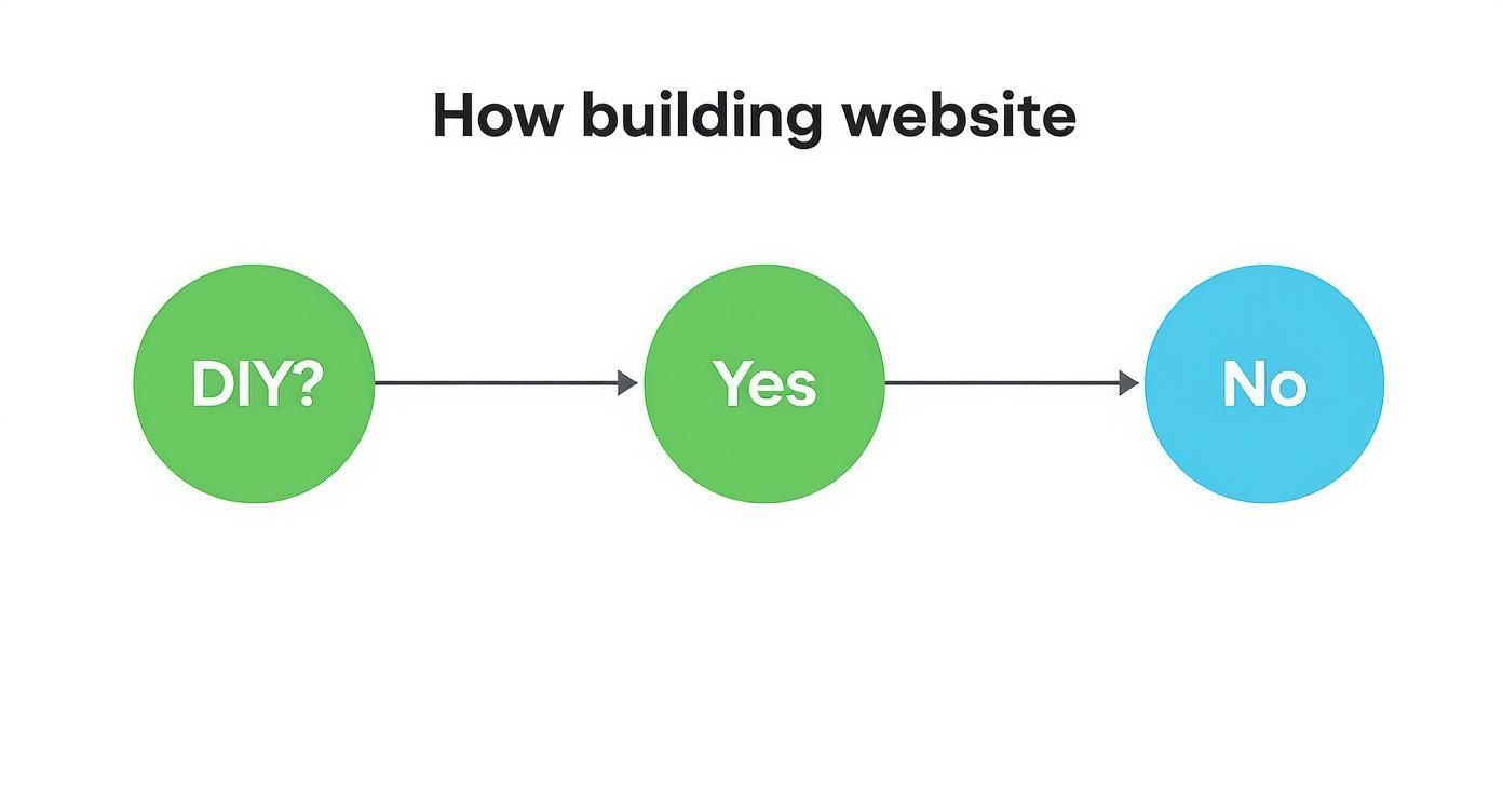 Infographic about website design for small business