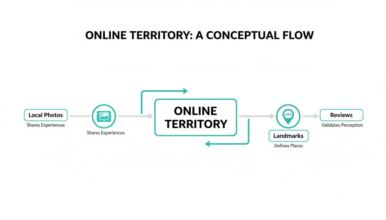 Flowchart illustrating how local photos, landmarks, and reviews interact within an online territory.