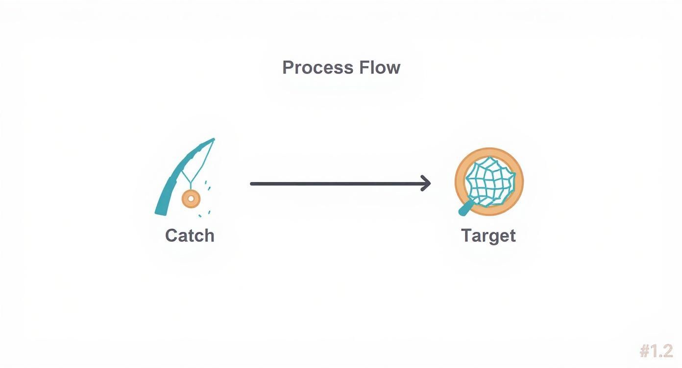 Process flow diagram showing catch to target progression with fishing rod and net icons