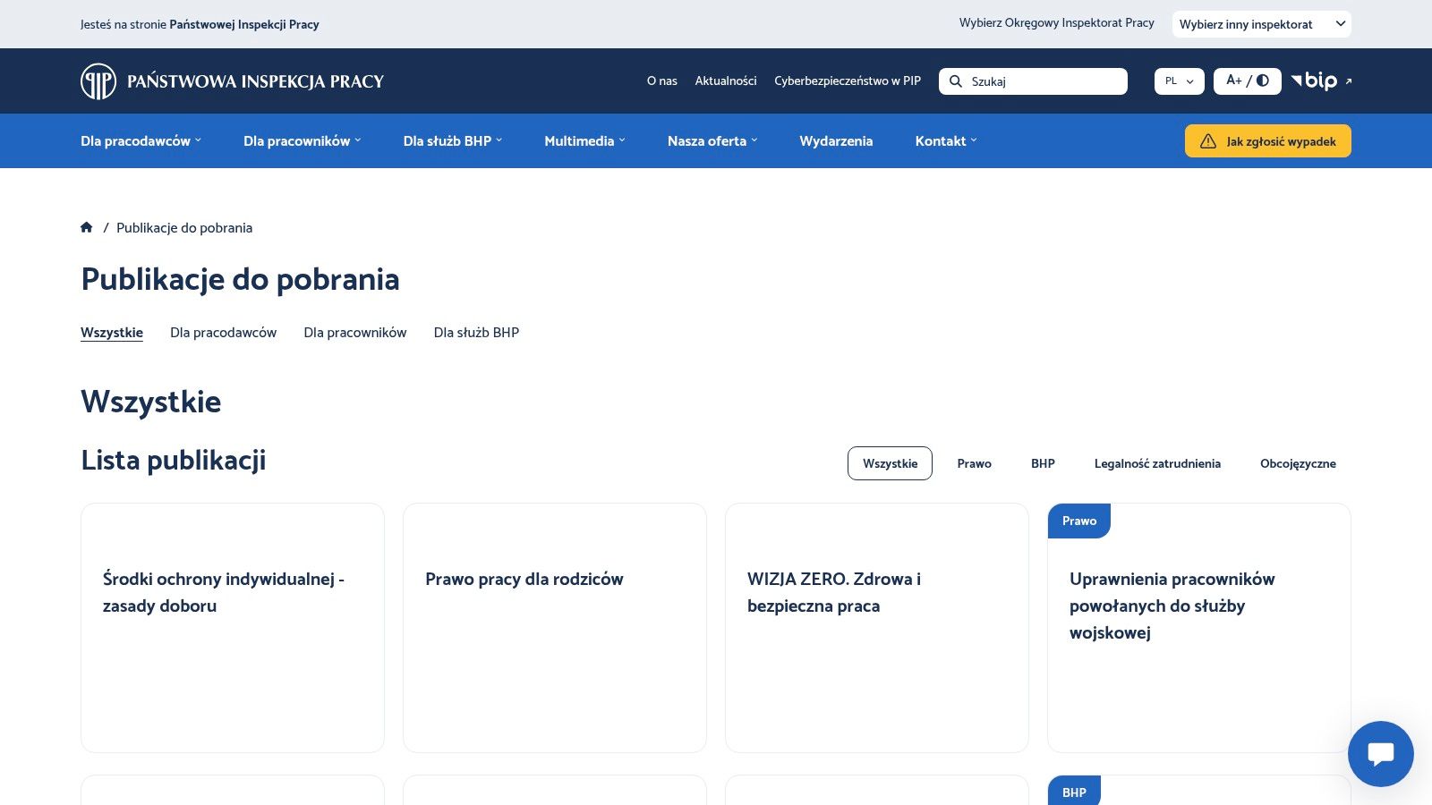 PIP – Państwowa Inspekcja Pracy (Publikacje / Niezbędnik BHP)