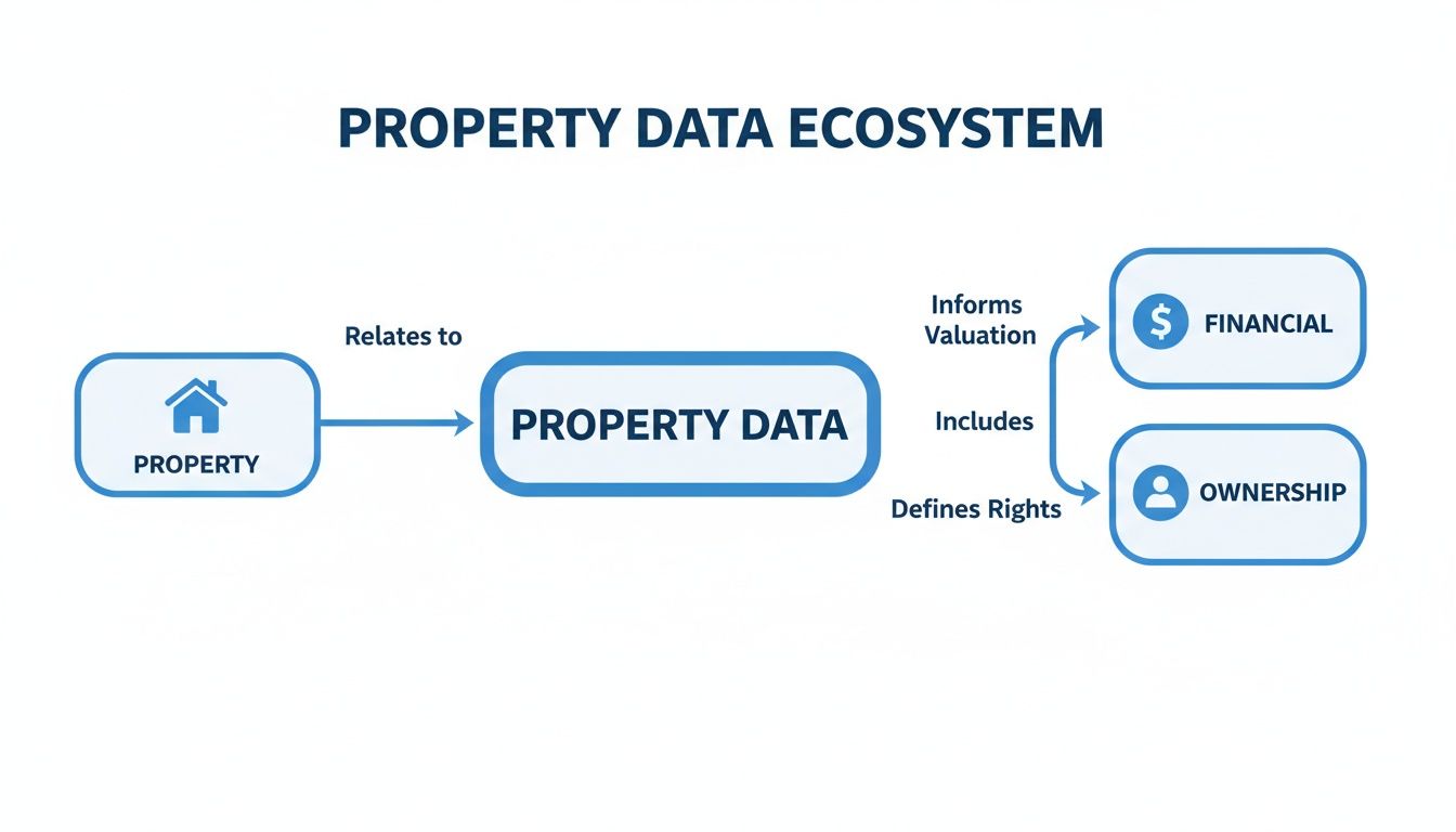 Diagram illustrating the property data ecosystem, showing relationships between property, financial, and ownership data.