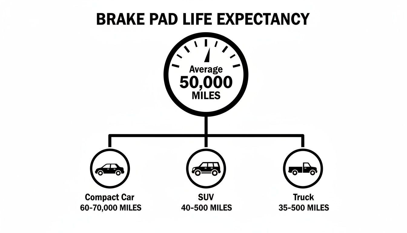 Brake pad life expectancy diagram showing average 50,000 miles, with ranges for different vehicle types.