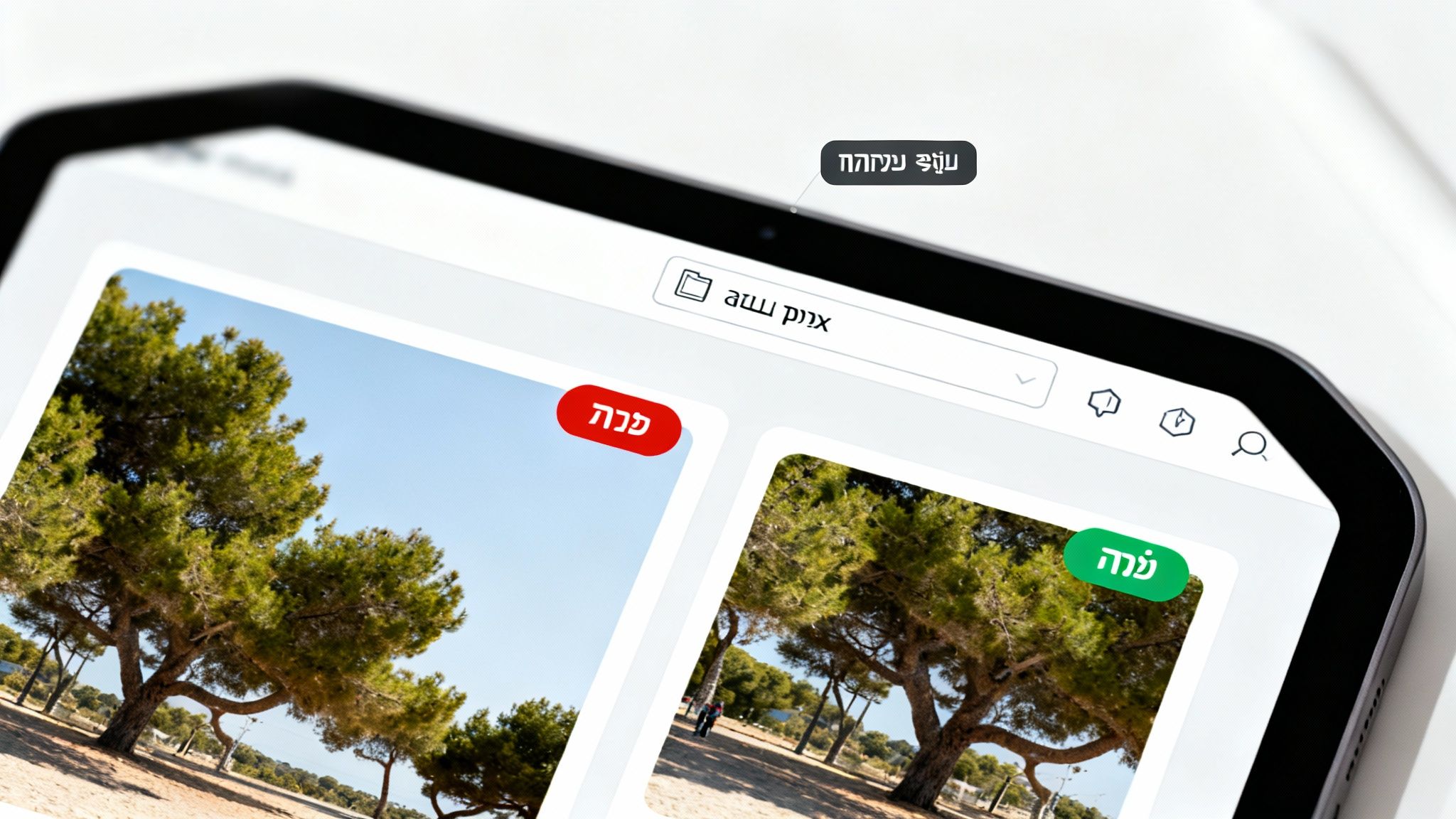 טאבלט מציג גלריית תמונות עם עצים ירוקים וחוף חולי תחת שמיים כחולים, כולל כיתובים בעברית.