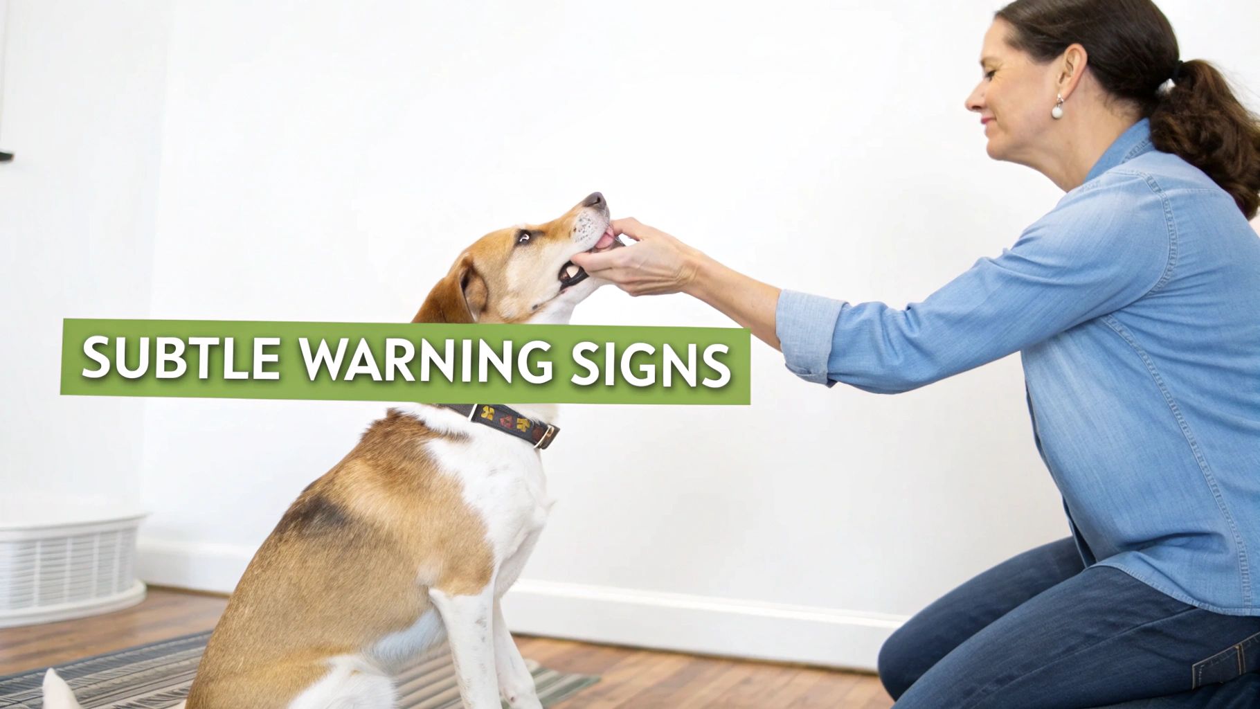 A woman kneeling and feeding a treat to a dog, with a green overlay text.