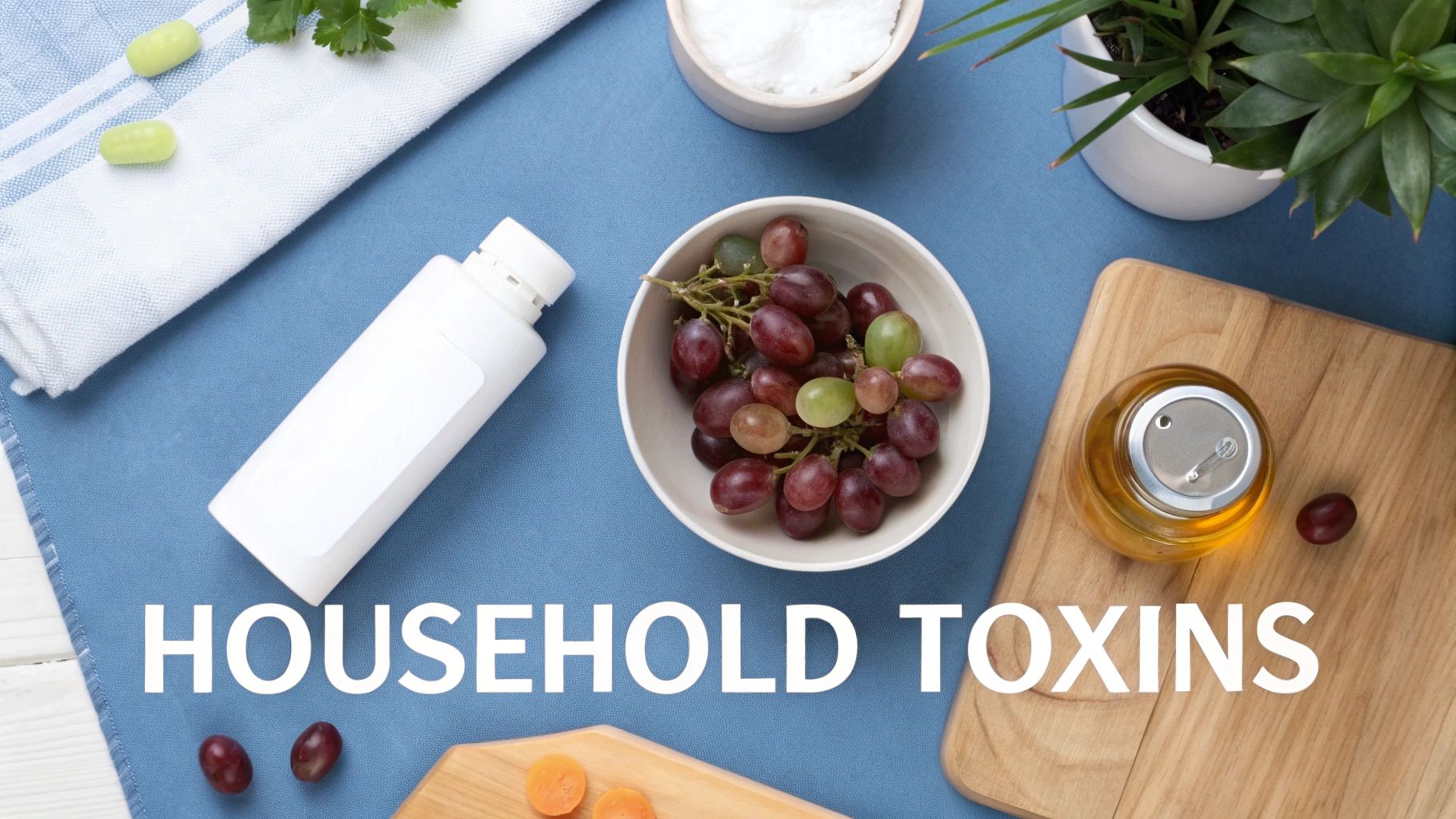 Flat lay of common household items like a white bottle, grapes, oil, and pills, with 'HOUSEHOLD TOXINS' text.