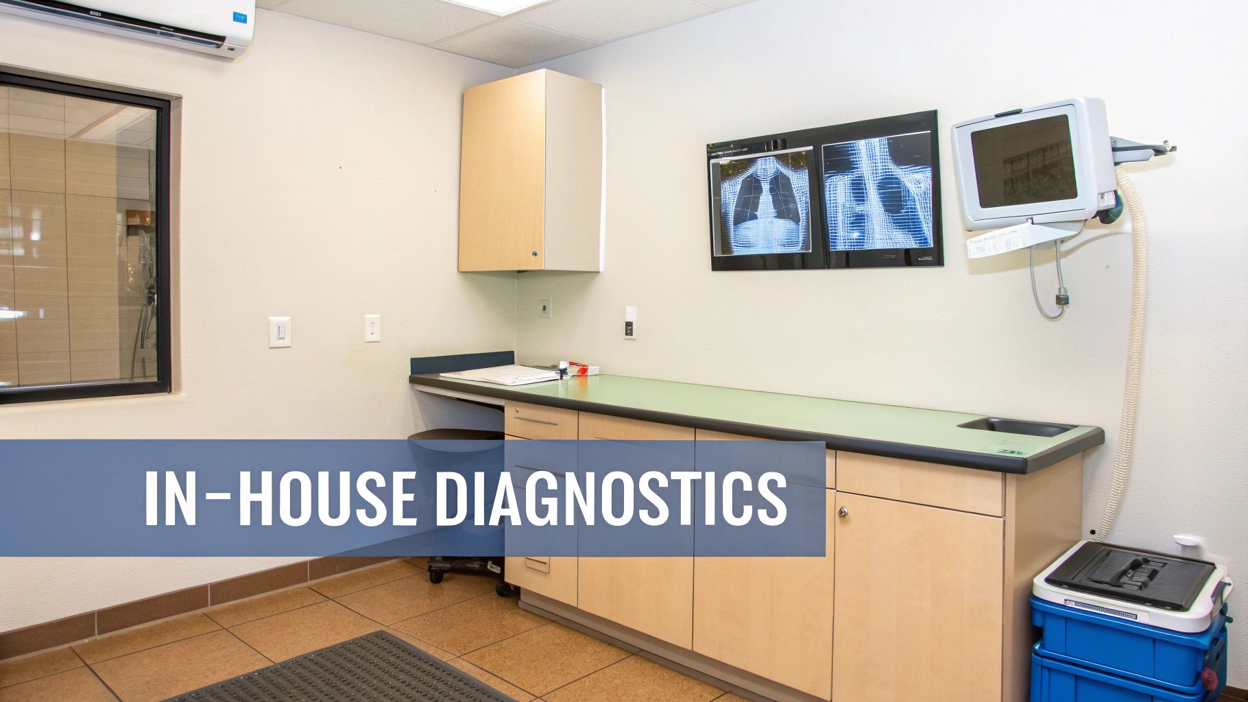 A clean, modern veterinary diagnostic room with X-ray screens, examination counter, and medical equipment.