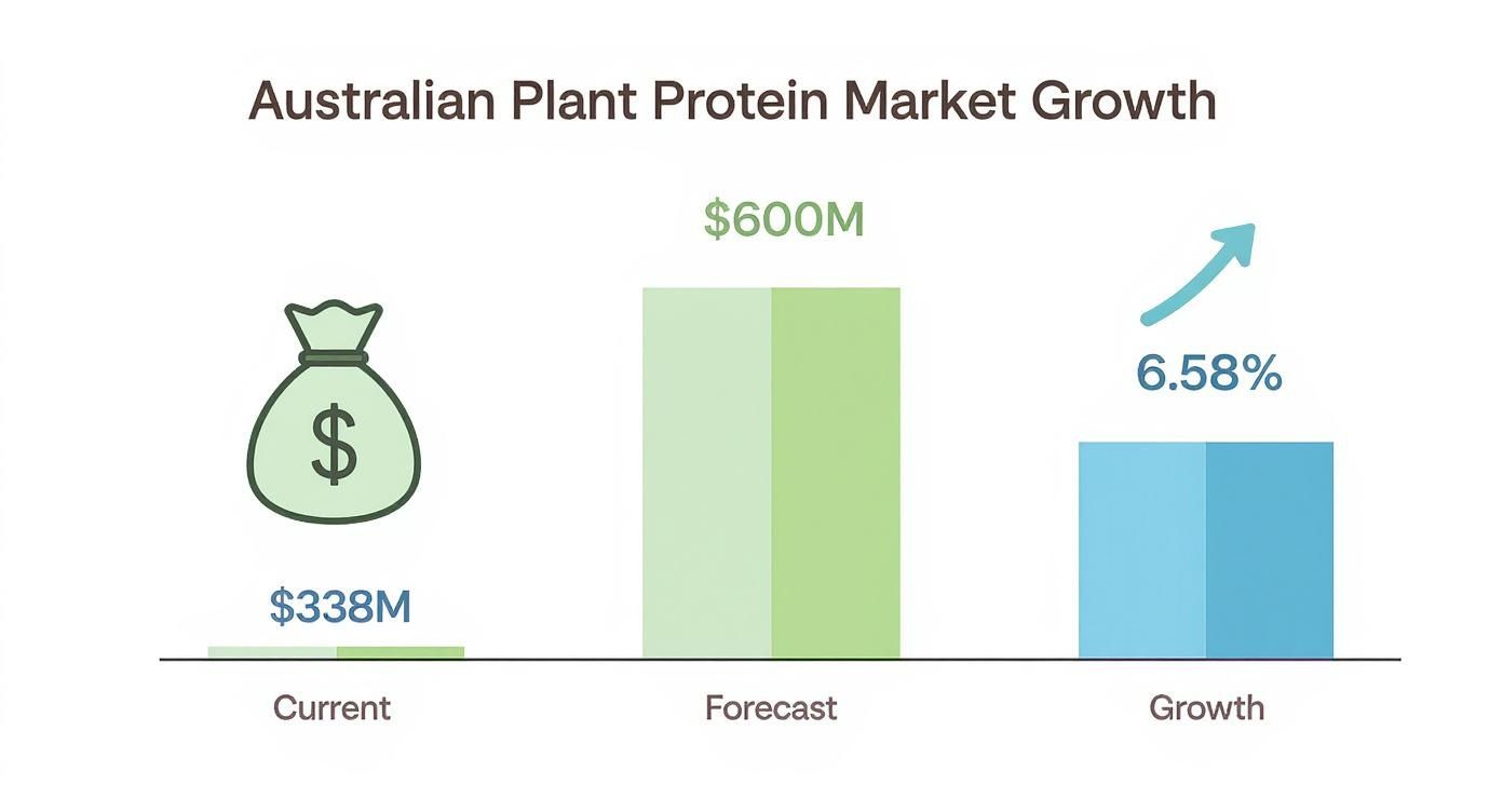 Bar chart illustrating the Australian Plant Protein Market current value, forecast, and growth percentage.