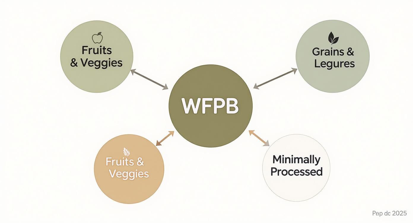 A diagram illustrating the Whole Food Plant-Based (WFPB) diet components: fruits, veggies, grains, legumes, and minimally processed foods.