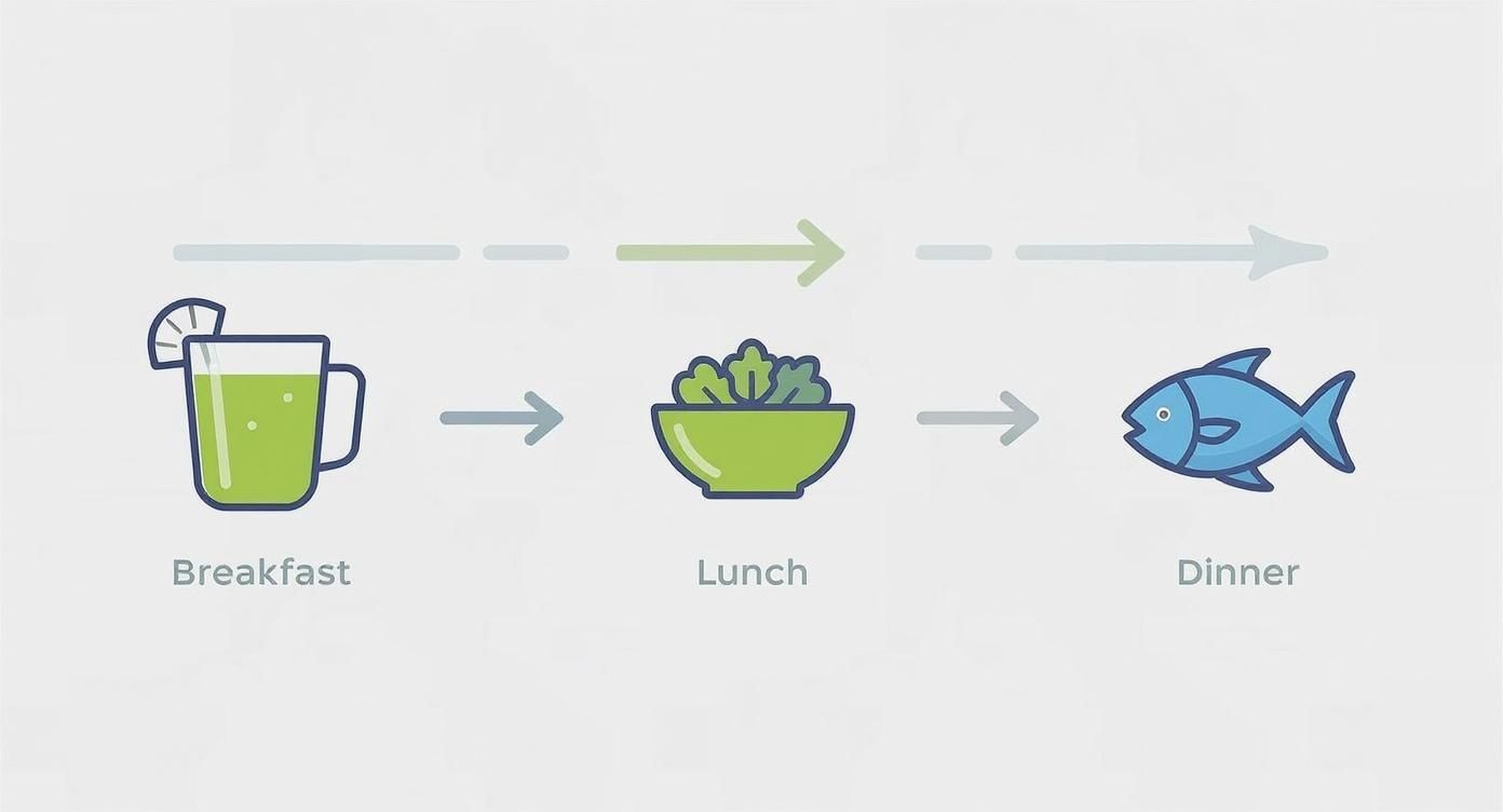 A visual representation of a daily meal plan: green drink for breakfast, salad for lunch, and fish for dinner, indicating a healthy diet.