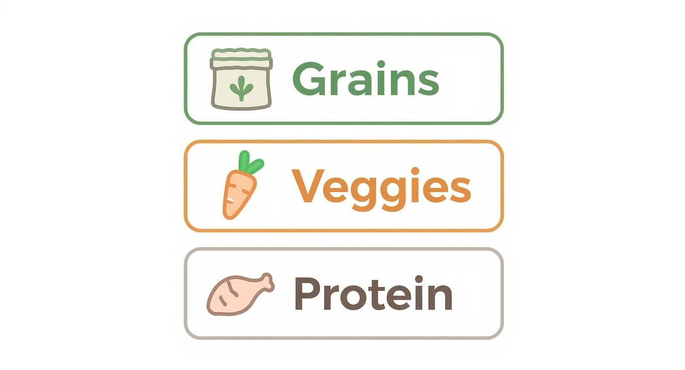 Three labeled food category buttons showing grains, veggies, and protein with illustrative icons for meal planning