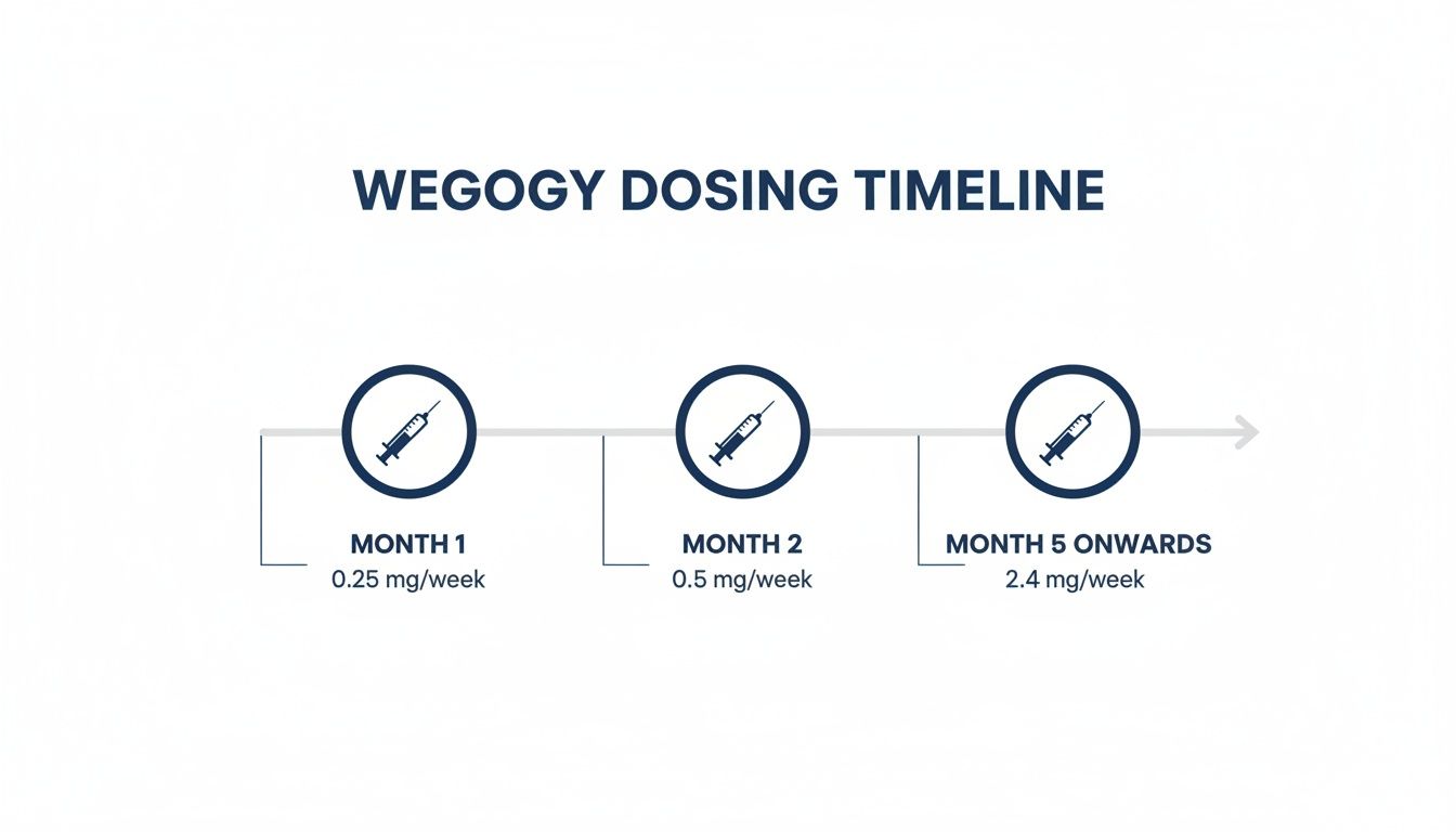 Wegovy dosing timeline illustrating weekly doses: 0.25mg (Month 1), 0.5mg (Month 2), and 2.4mg (Month 5+).