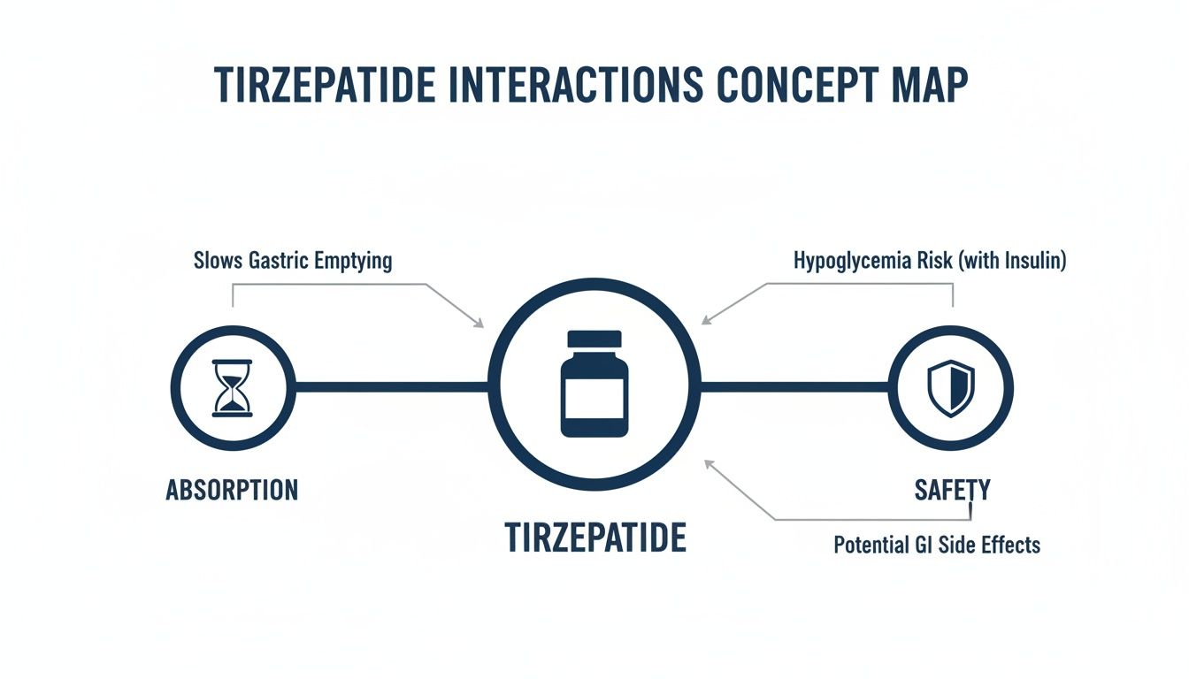 Concept map illustrating Tirzepatide drug interactions, covering absorption (slowed gastric emptying) and safety (hypoglycemia risk with insulin, potential GI side effects).