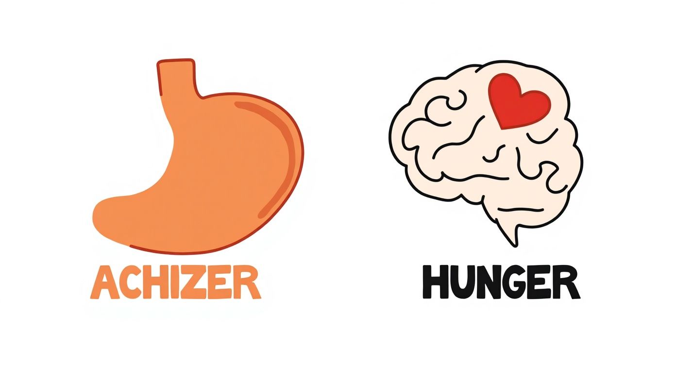 Infographic about how to overcome emotional eating