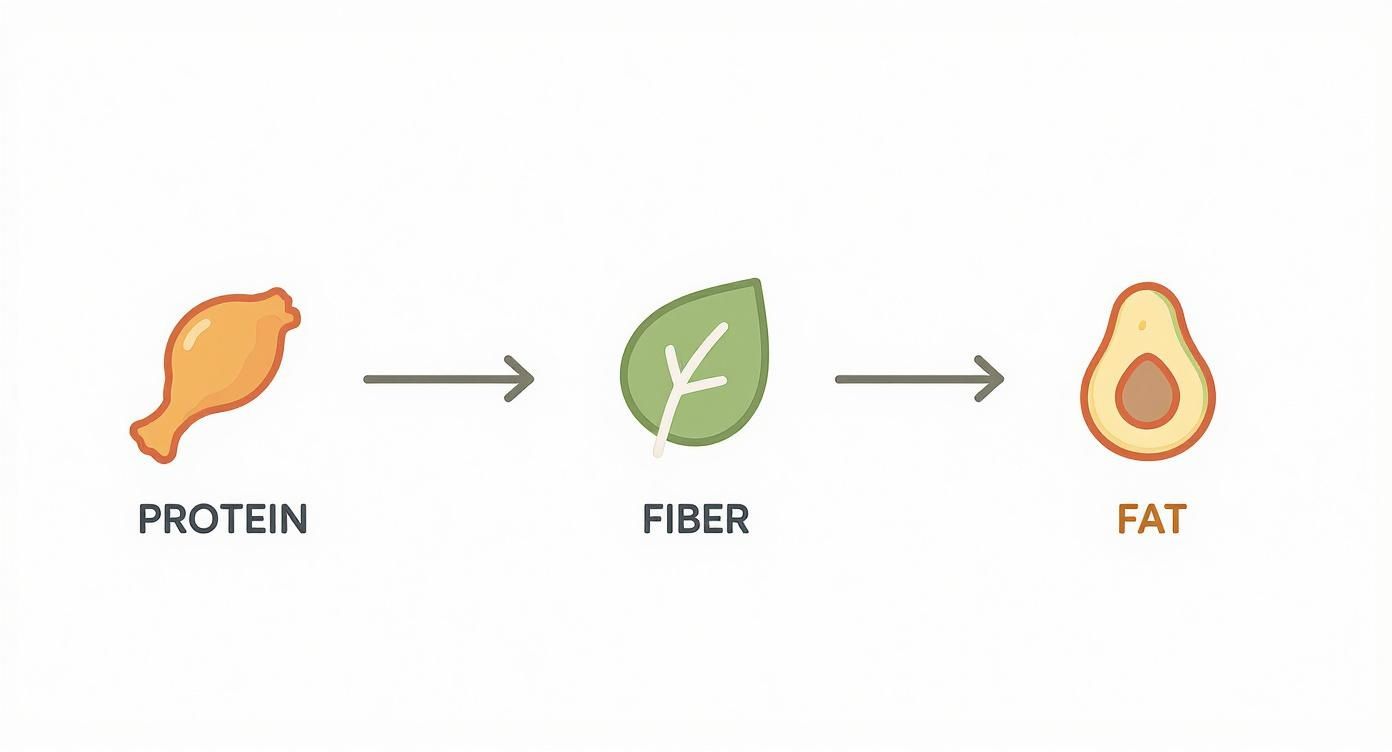 Illustrates key macronutrients: protein from chicken, fiber from a leaf, and fat from an avocado.