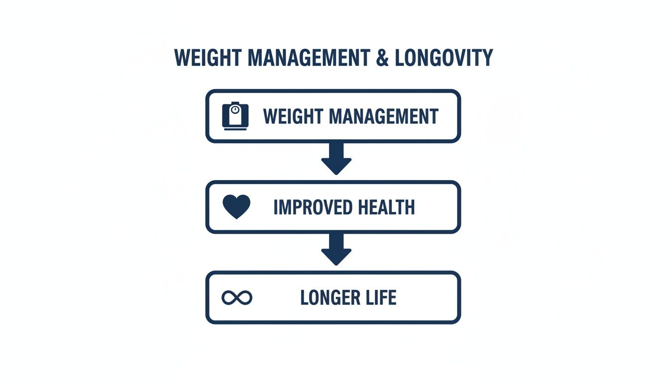Flowchart illustrating how weight management leads to improved health and a longer life.