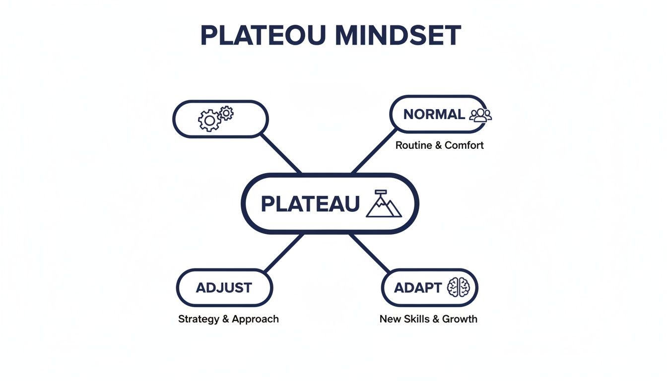 Mind map illustrating the Plateau Mindset, connecting to Normal, Adjust, and Adapt for growth.