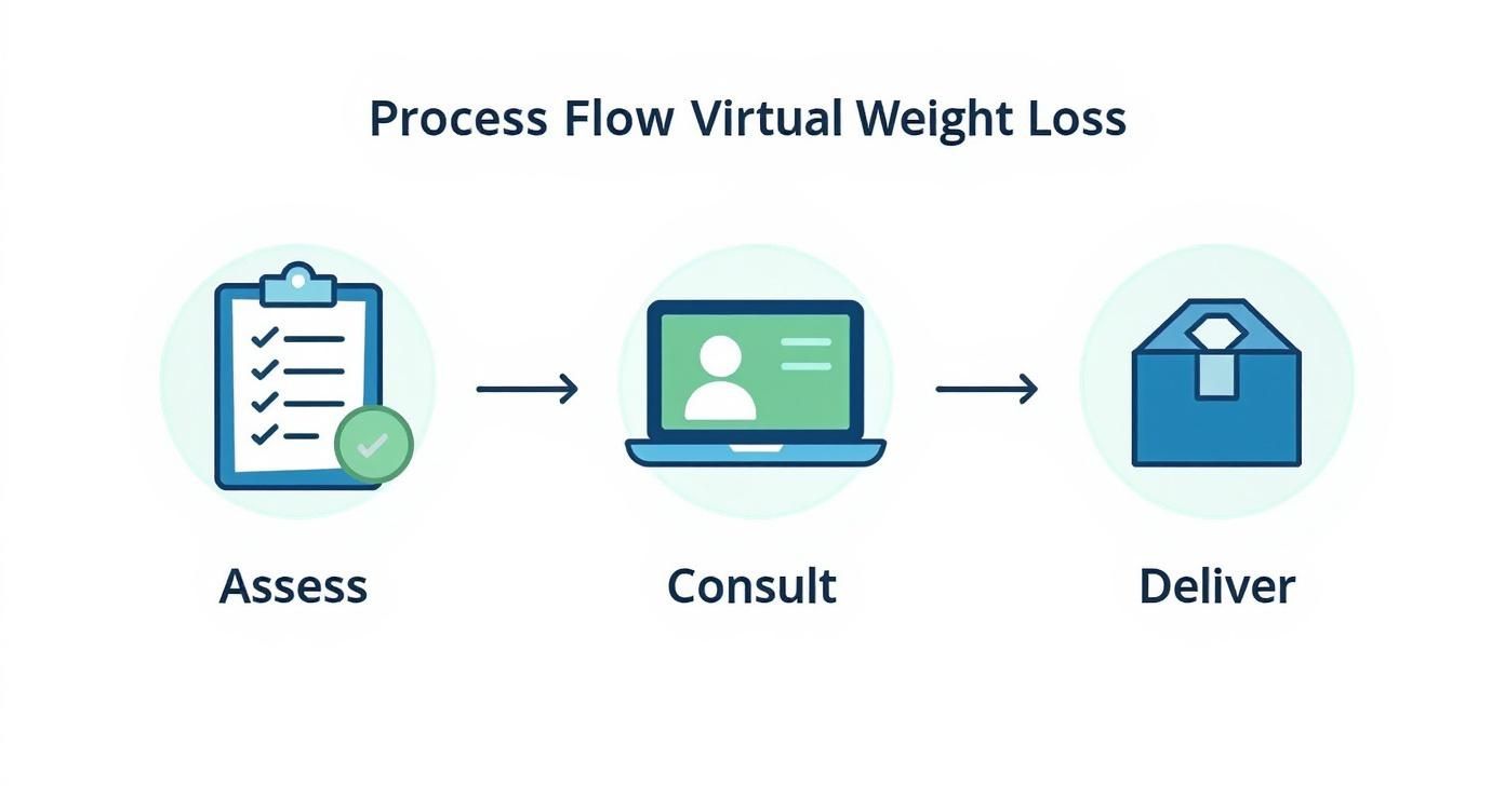 Three-step virtual weight loss process showing assessment checklist, online consultation, and program delivery icons