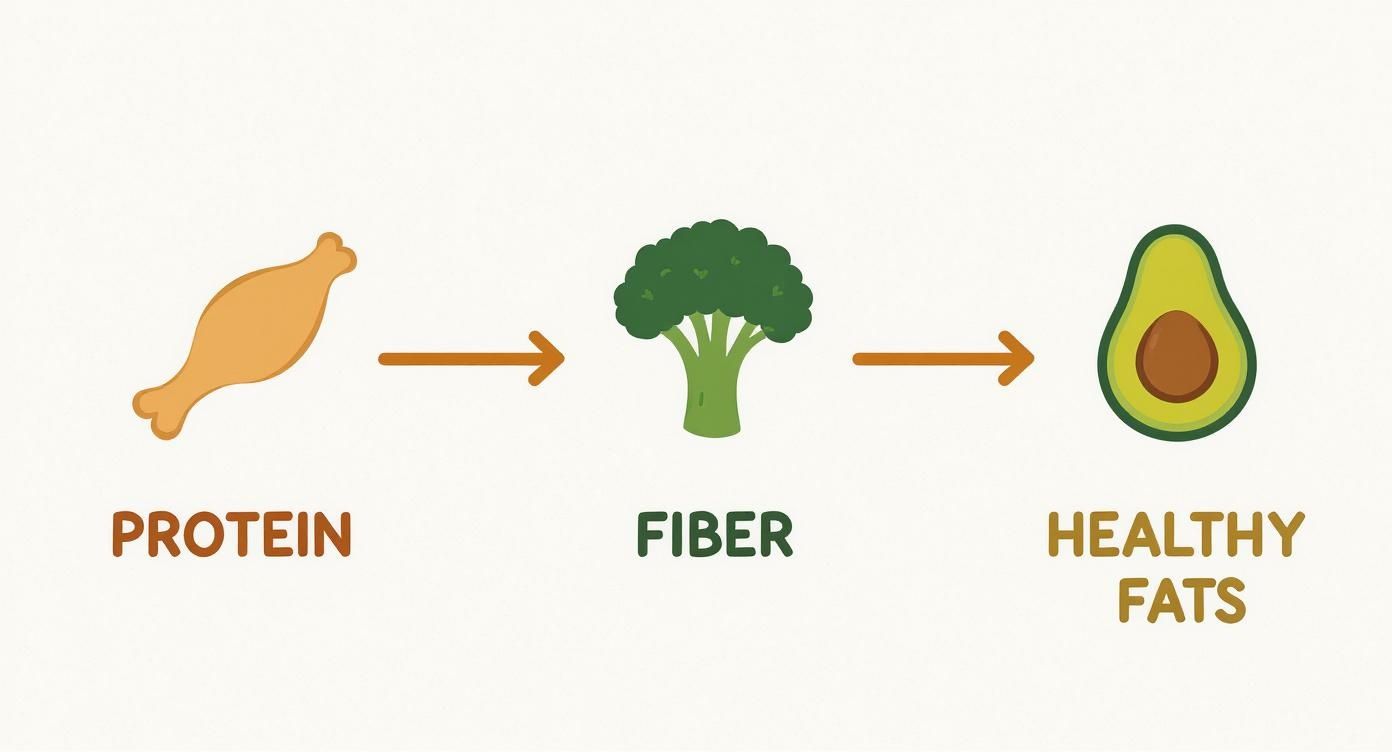 Infographic about how to lose perimenopause belly fat